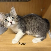 Rodger ( th) - Photo 1