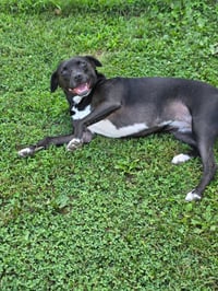Rayla - Photo 3