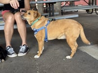 Lola  (ae) - Photo 7