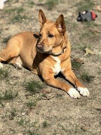 Lola  (ae) - Photo 9