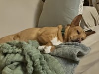 Lola  (ae) - Photo 10