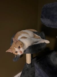 Jasper - Photo 2