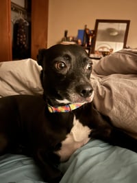 Zoe - Photo 5
