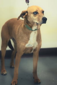 Moses - Photo 5