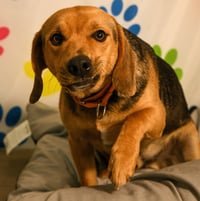 Fred - Photo 4