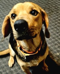 Fred - Photo 5