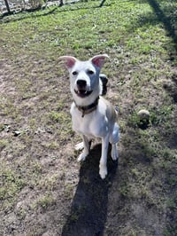 Byron - Photo 11