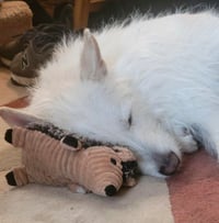 Polar - Photo 18