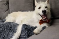 Polar - Photo 14