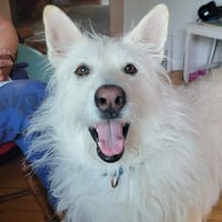 Polar - Photo 1