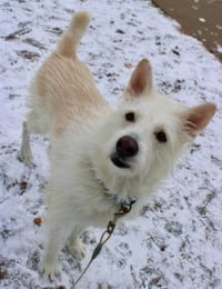 Polar - Photo 8