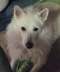 Polar - Photo 16