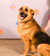 Matilda - Photo 3