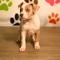 Nessa - Photo 7