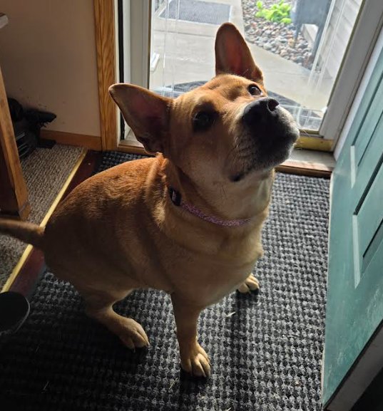 Ethel Image