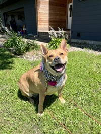 Ethel - Photo 2