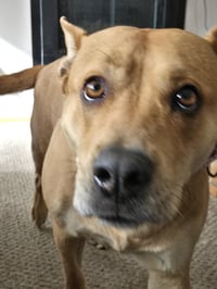 Ethel - Photo 6