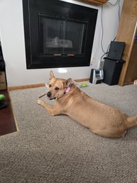 Ethel - Photo 5