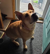 Ethel - Photo 3
