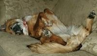 Vero - Photo 5