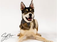Niles - Photo 4