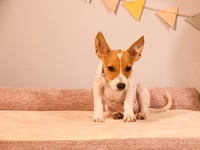 Rainy* - Photo 4