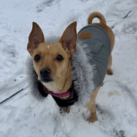 Maggie - Photo 4