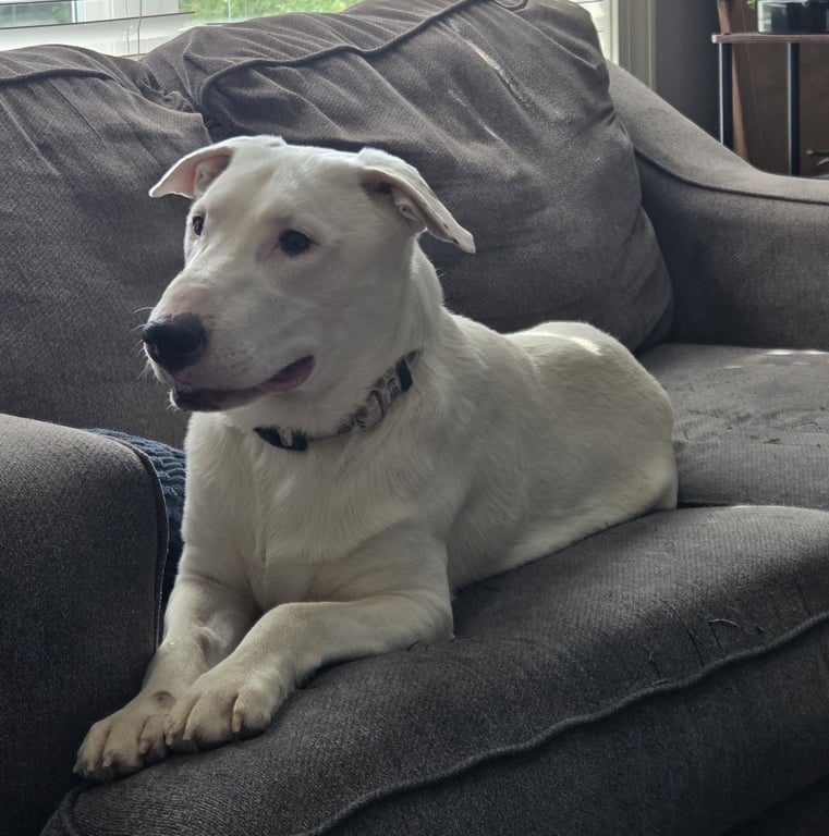 Buster Image