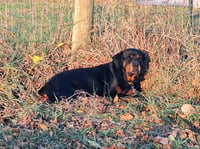 Ruthie - Photo 5