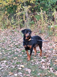 Ruthie - Photo 6