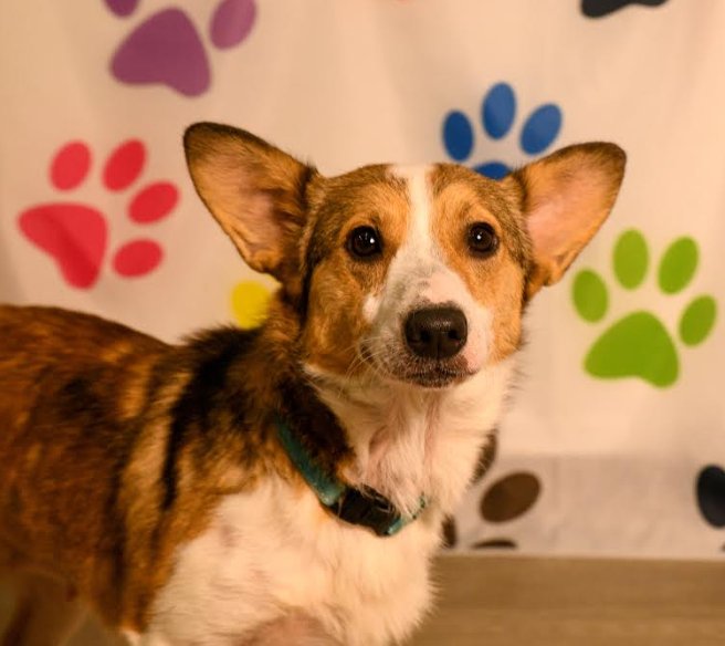 Zoey Mae Image
