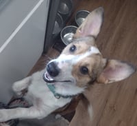 Zoey Mae - Photo 2