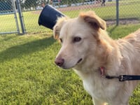 Mitzi - Photo 1