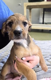 Exploremore - Photo 1