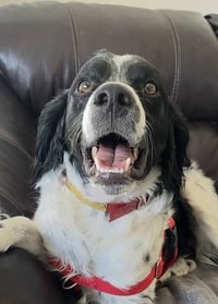 CO/Ozzie Jones - Photo 1