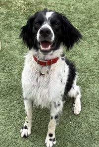 CO/Ozzie Jones - Photo 2