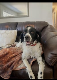 CO/Ozzie Jones - Photo 3