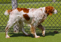 OK/Jack Flash (KS) - Photo 5