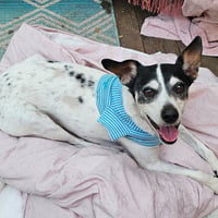 Jax (WA) - Photo 5