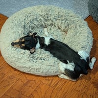 Mika (MI) - Photo 4