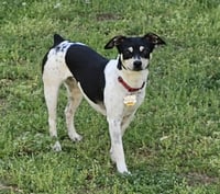 Zuni (GA) - Photo 6