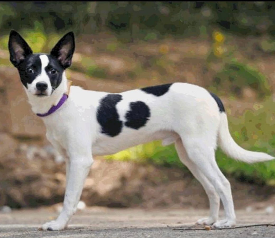 Colby (TN) - Photo 3