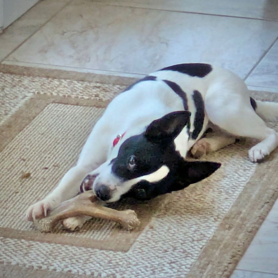 Colby (TN) - Photo 4