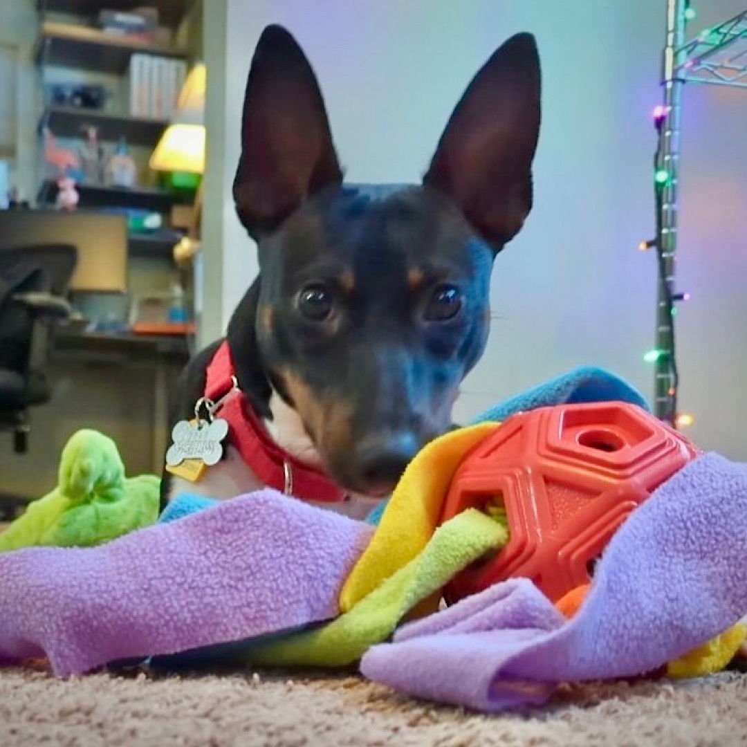 Beau Jangles (OH) - Photo 3