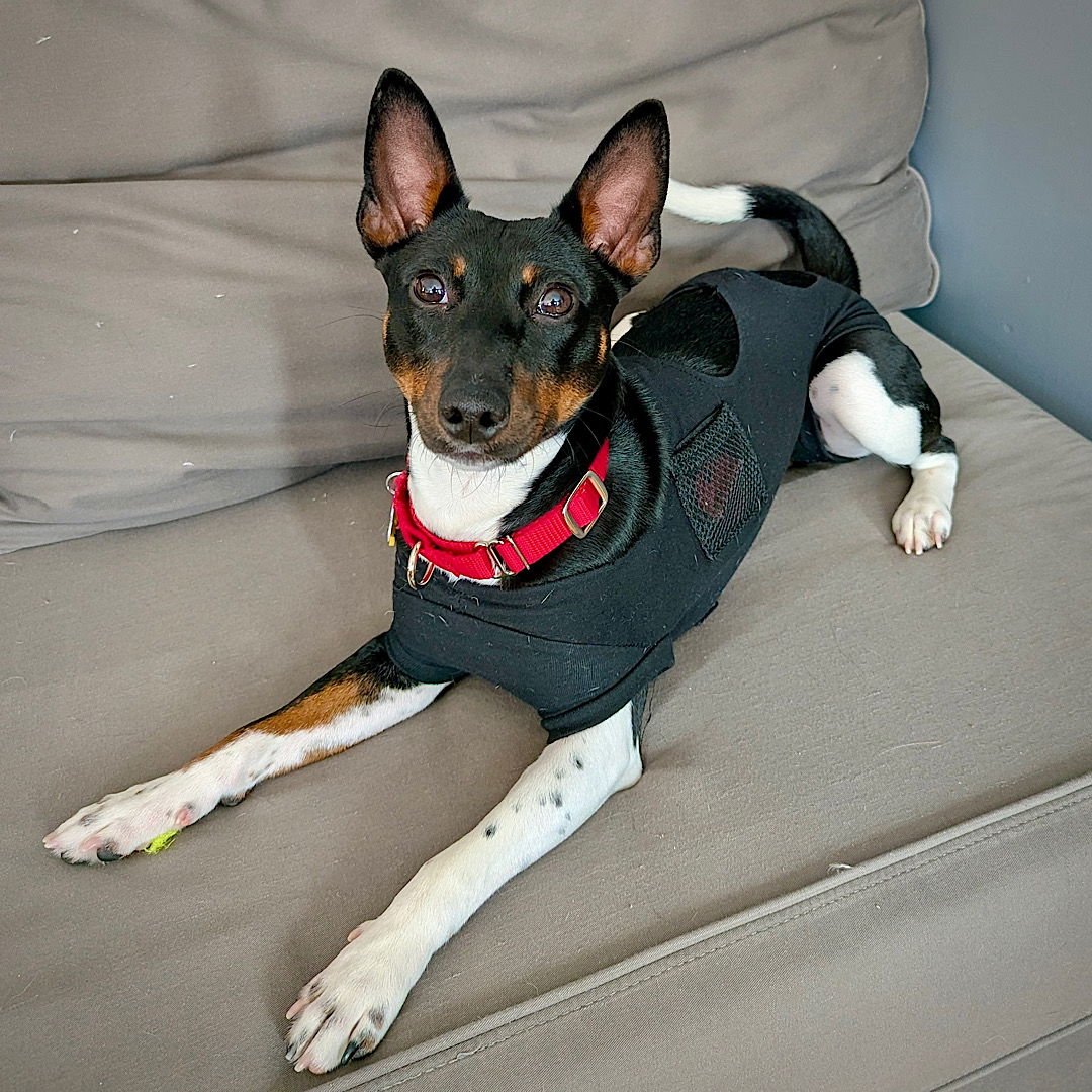 Beau Jangles (OH) - Photo 4