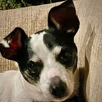 Lil Beau (LA) - Photo 3