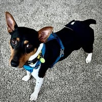 Buzz (MI) - Photo 3