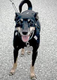 Lola (CA) - Photo 4