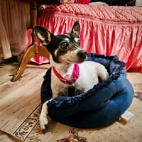 Sybil (OR) - Photo 6