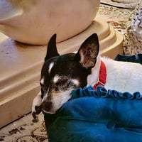 Sybil (OR) - Photo 5